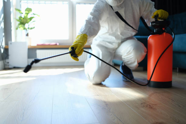 Reliable Odor Removal contractor in Cuyahoga Falls, OH by Trauma Clean Pros